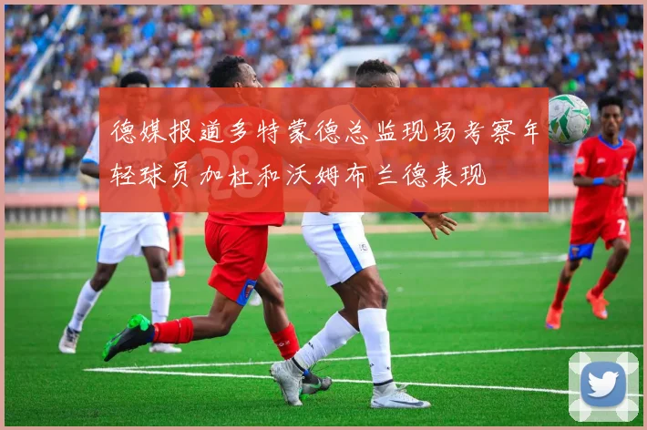德媒报道多特蒙德总监现场考察年轻球员加杜和沃姆布兰德表现